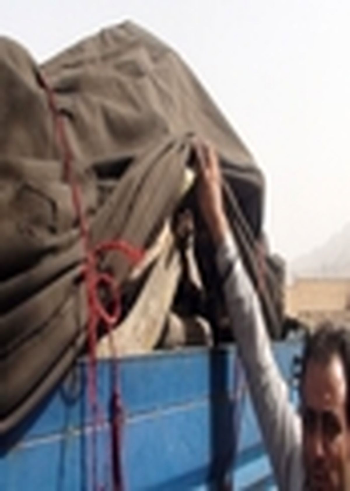 کشف و ضبط دو تن چوب قاچاق در آران و بیدگل