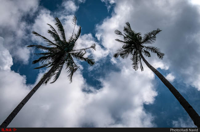 مالزی کشور صنعت و سنت