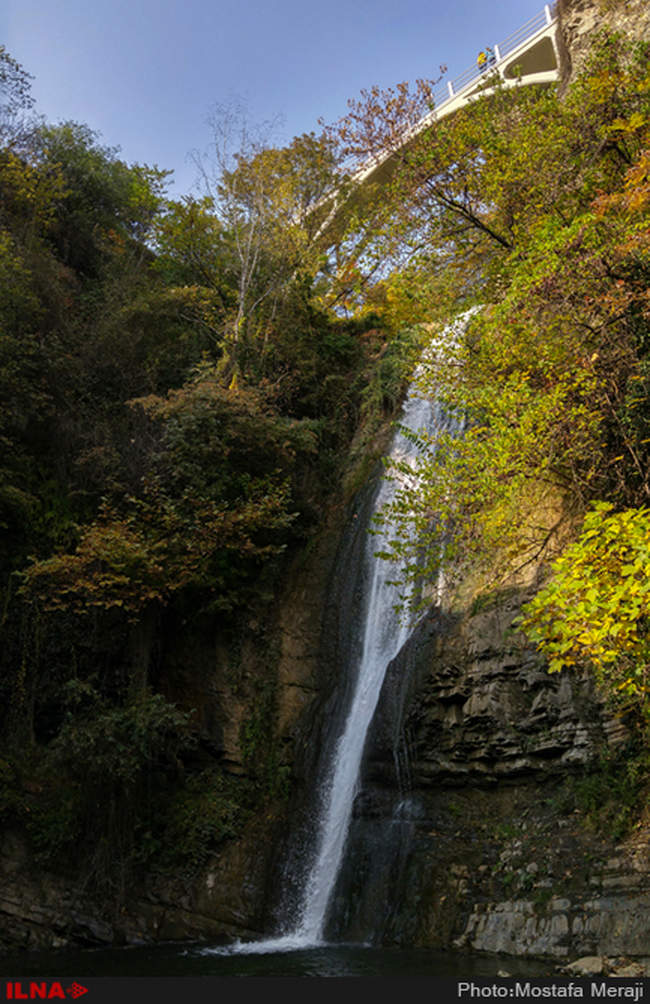 گزارش اختصاصی ایلنا از پاییز در باغ بوتانیکال تفلیس