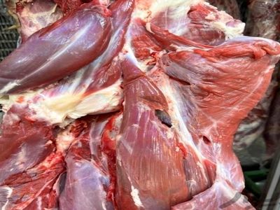 توزیع ۸۲۰ تُن گوشت بین هیات‌های مذهبی در آذربایجان غربی
