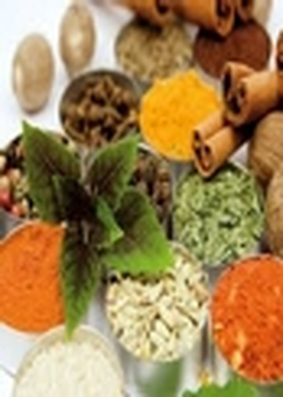 برگزاری نهمین جشنواره گیاهان دارویی و فرآورده های طبیعی در اصفهان
