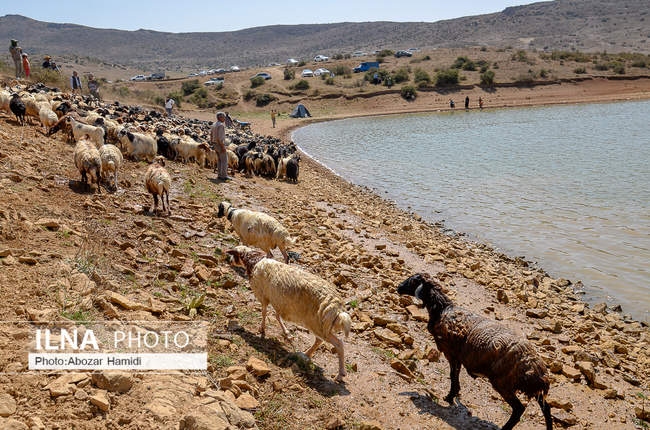 آئین سنتی مالشوران در کلیشم عمارلوری گیلان 