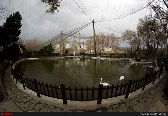 باغ پرندگان اصفهان