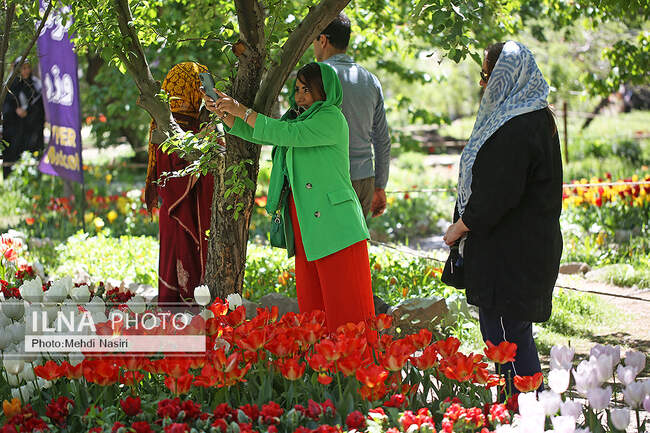 باغ لاله های آسارا 