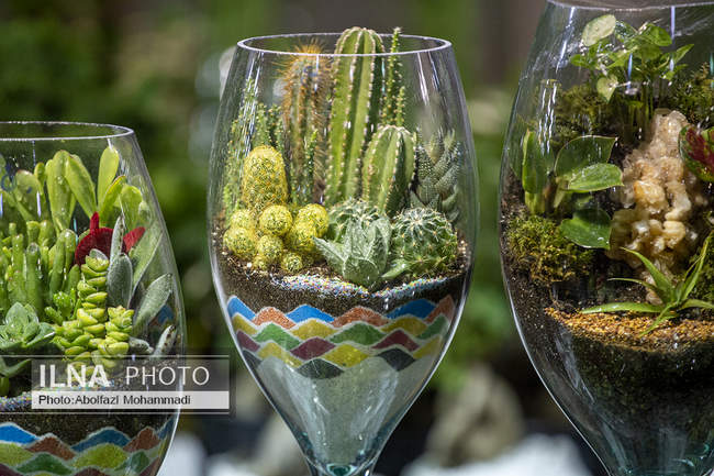 هشتمین نمایشگاه سراسری گل و گیاه در یزد