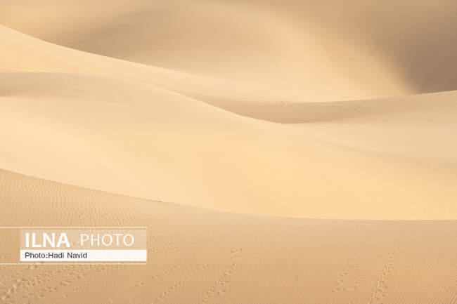 کویر مصر