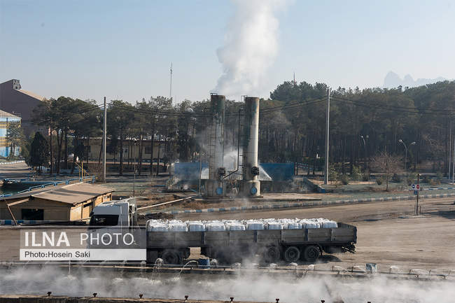 تولید شکر از چغندر قند 