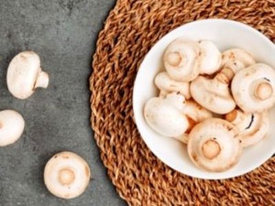 علامت خراب شدن قارچ یا قابل استفاده بودن آن