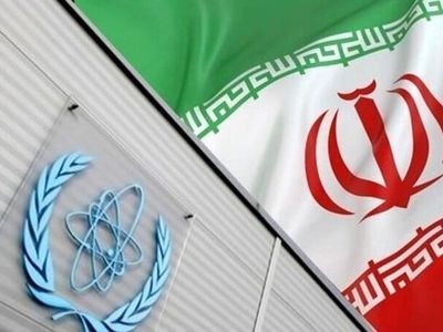 Iran should have maximum productivity from cooperation with IAEA: expert 