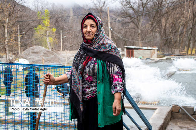 حمایت کمیته امداد امام خمینی(ره) از طرح های اشتغالزایی و تولید درشهرس