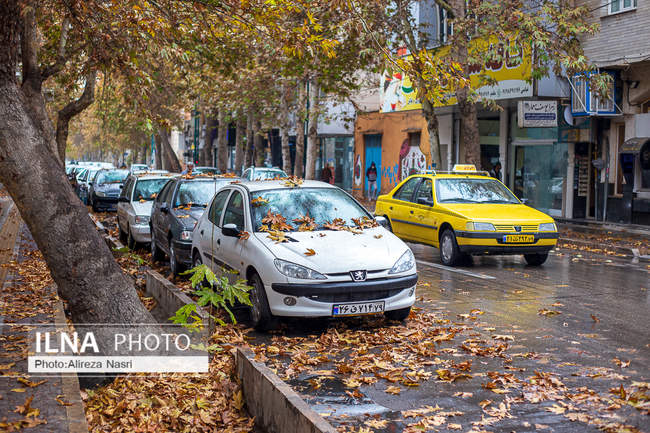 بارش اولین باران پاییزی در قزوین