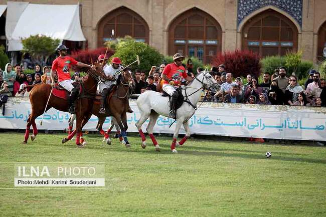 IMG_4919 copy