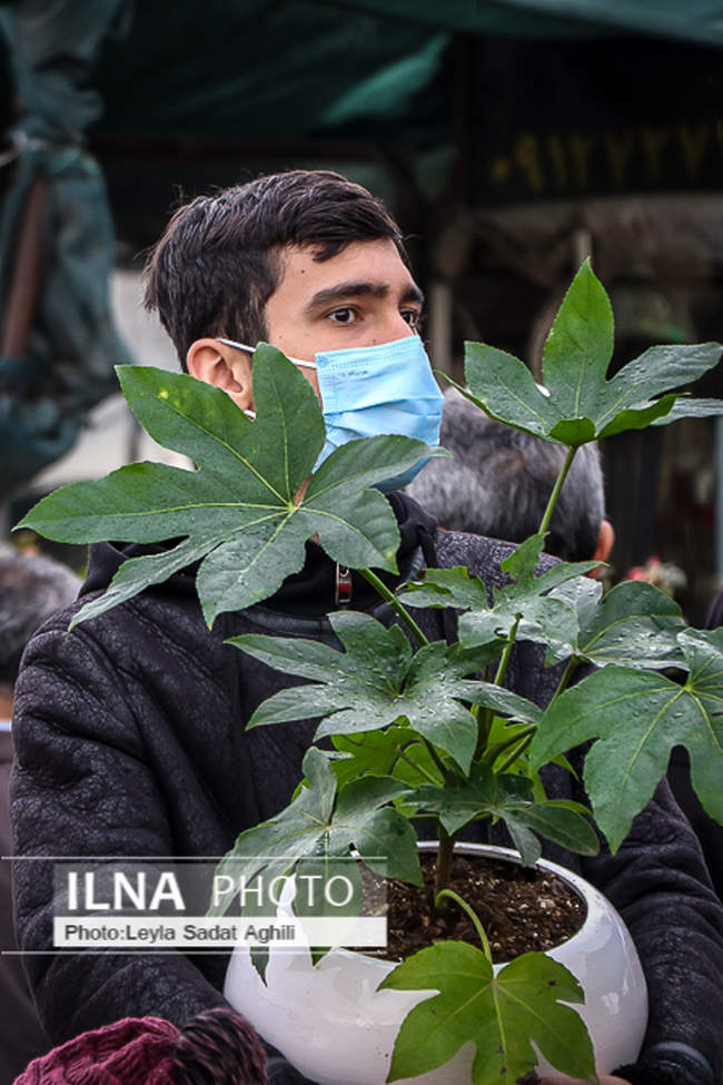 استقبال از بهار در پایان یک سال کرونایی