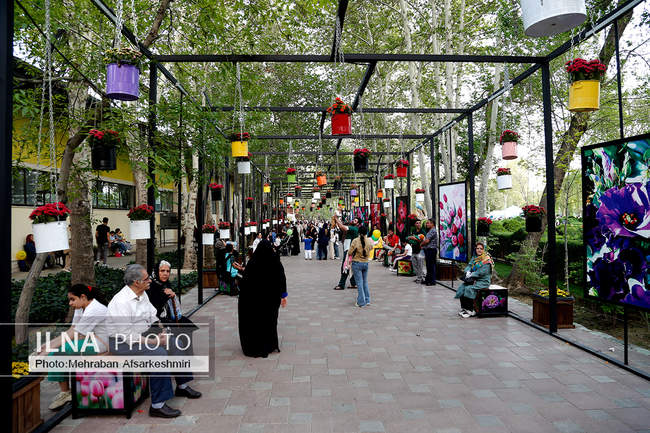 یازدهمین جشنواره لاله های کرج