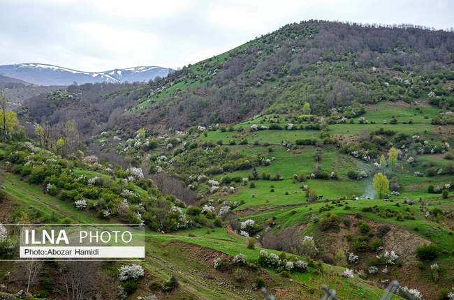 طبیعت بهاری رودبار گیلان