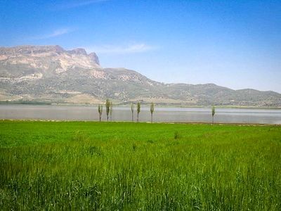 سند تک برگ تالاب ارژن در فارس صادر شد