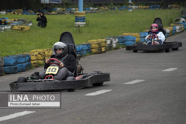 چشم انداز جنگل و دریا در قاب طبیعت