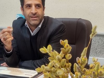 ارومیه میزبان سومین جشنواره بیدمشک 