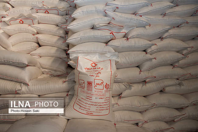 تولید شکر از چغندر قند 