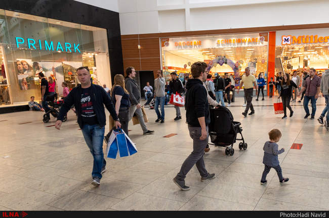 برمن: دانش و طبیعت