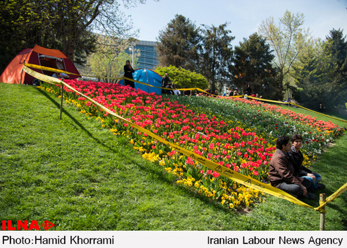 حتی در فاصله‌های فیزیکی نیز باید روح دوستی انسان و طبیعت را پاس داشت