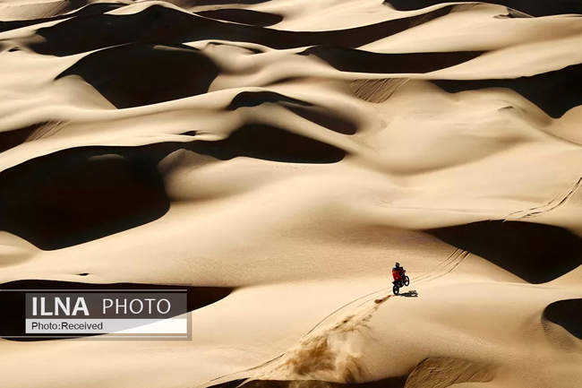 درخشان ترین صحنه های رالی 