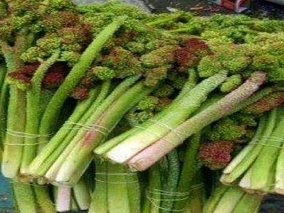 خواص شگفت انگیز گیاه بهاری «ریواس»