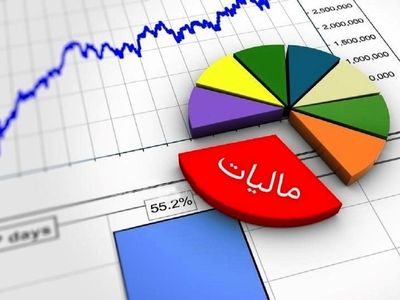 نظام شفاف اطلاعات مالیاتی سبب افزایش درآمدهای مالیاتی خواهد شد 