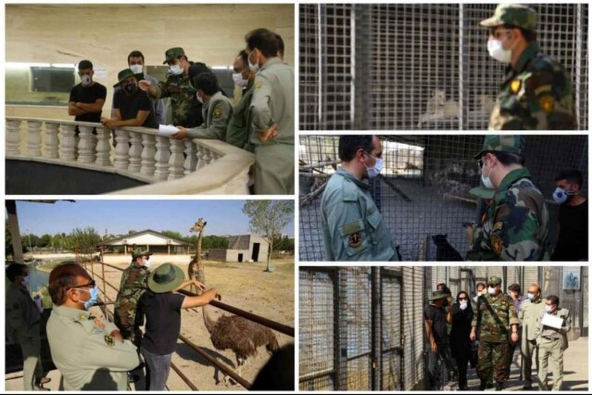 ضرورت رفع ایرادات باغ وحش صفادشت