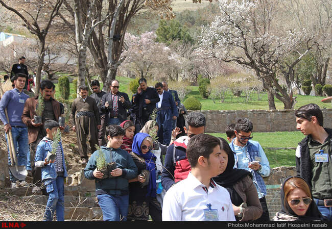 نهال کاری در دامنه کوه آبیدر سنندج 
