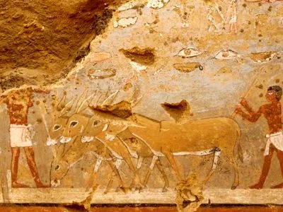 کشف مقبره مصری ۴۳۰۰ ساله با نقاشی های دیواری خیره کننده