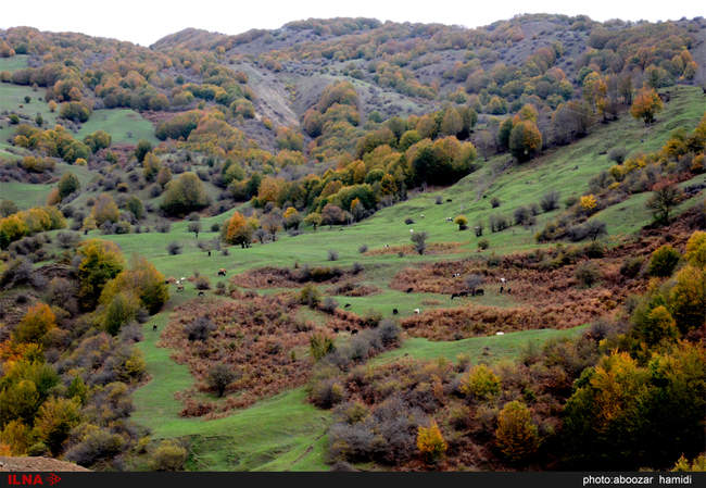 طبیعتِ پاییز در رودبار گیلان