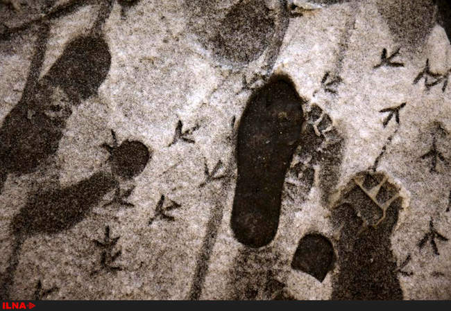 بزرگترین طوفان  سال 2016