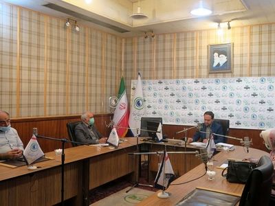 طرح صیانت؛ از کارکرد فرهنگی و اقتصادی تا مشکلات گسترده برای کسب و کارها