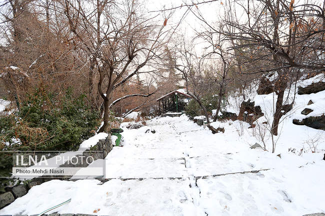 برف زمستانی پارک جمشیدیه
