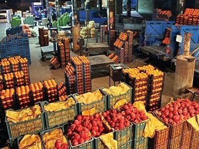 تامین میوه شب عید در استان کرمانشاه 