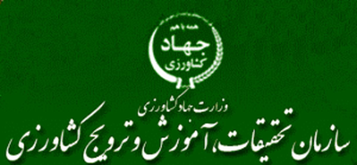 جلوگیری از خروج 2/5 میلیارد دلار ارز با فعالیت سازمان تات/ افزایش 400 درصدی تولید محصولات زراعی بر اثر رسوخ دانش در مزارع
