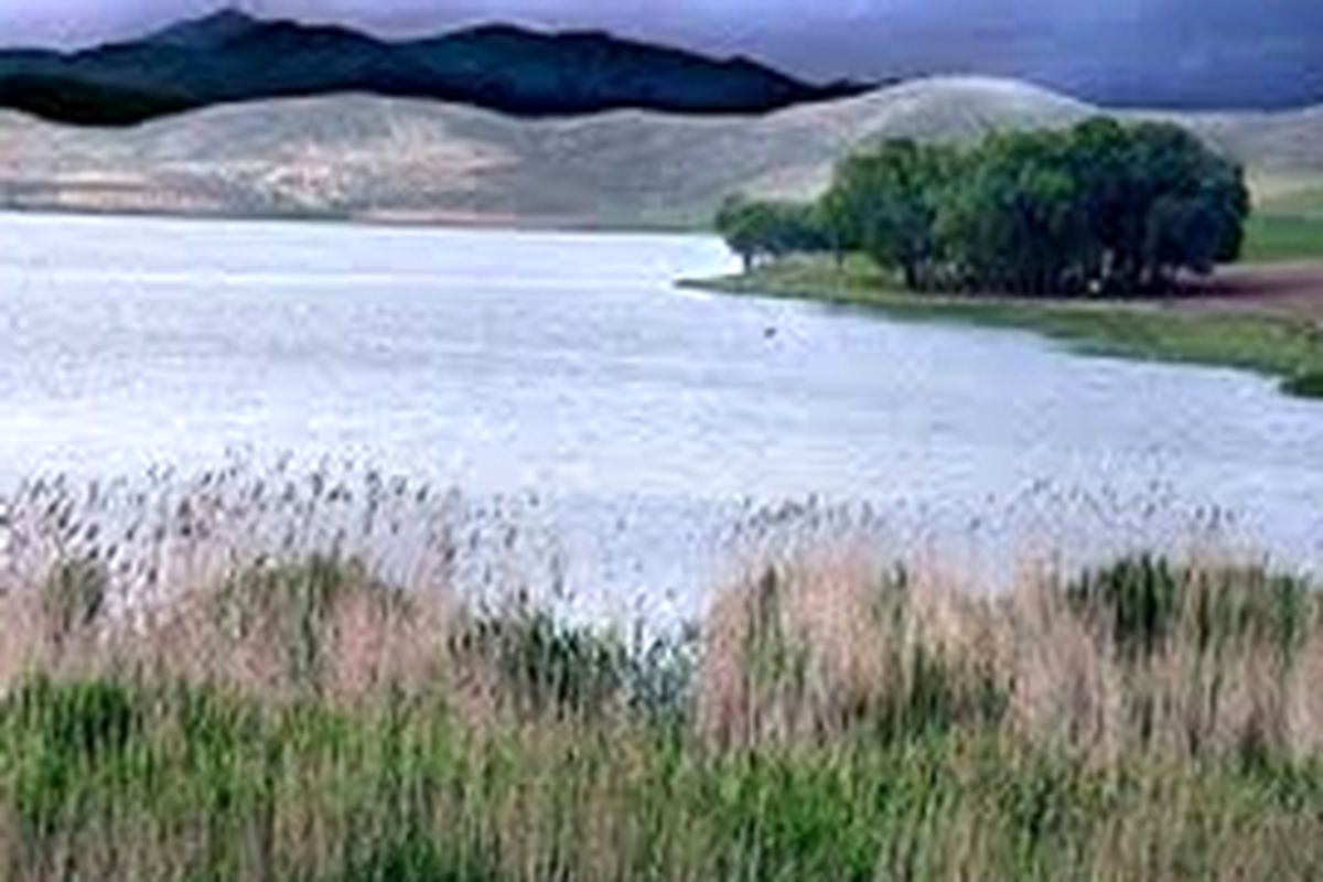 شکار پرندگان مهاجر آبزی در آذربایجان شرقی ممنوع شد