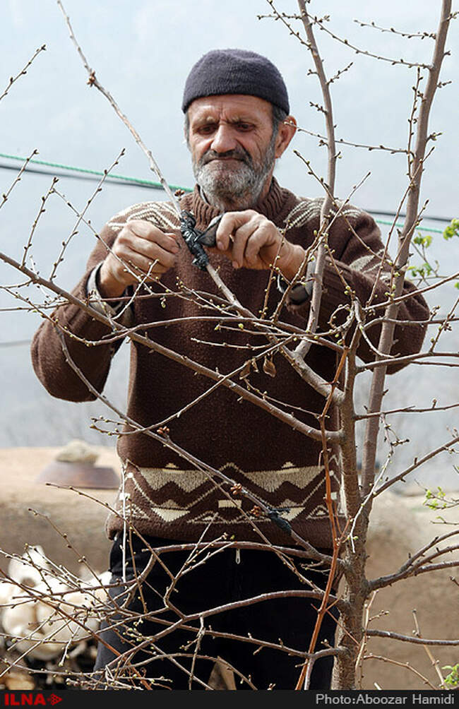 آیین خانه تکانی در روستای عمارلو رودبار گیلان