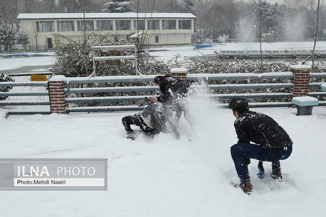 پارک ملت در یک روز برفی