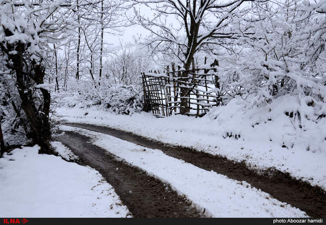 تقابل بهار و زمستان در واپسین روزهای سال- خورگام رودبار گیلان