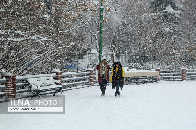 پارک ملت در یک روز برفی