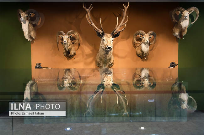 کاخ‌موزه رامسر، دریچه ای به مسیری که پیموده شده