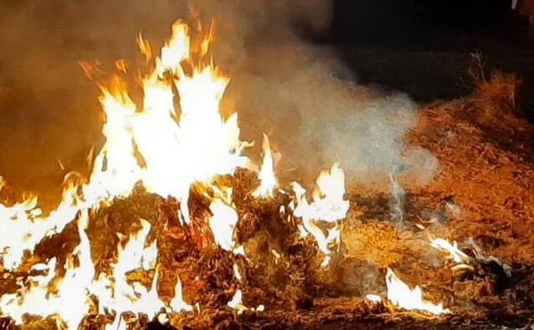 پسماند و ضایعات‌سوزی از مهمترین عوامل افزایش آلودگی هوای تهران