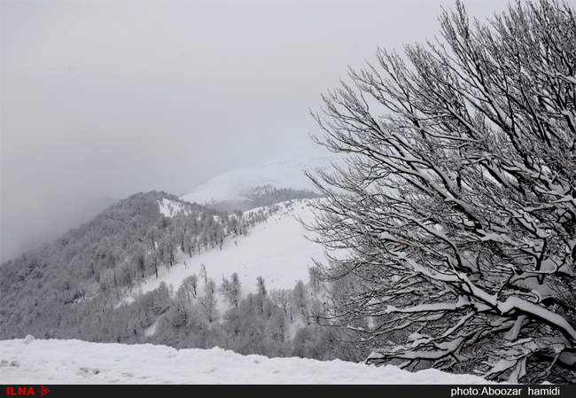 طبیعت زمستان ییلاق اسالم تالش گیلان