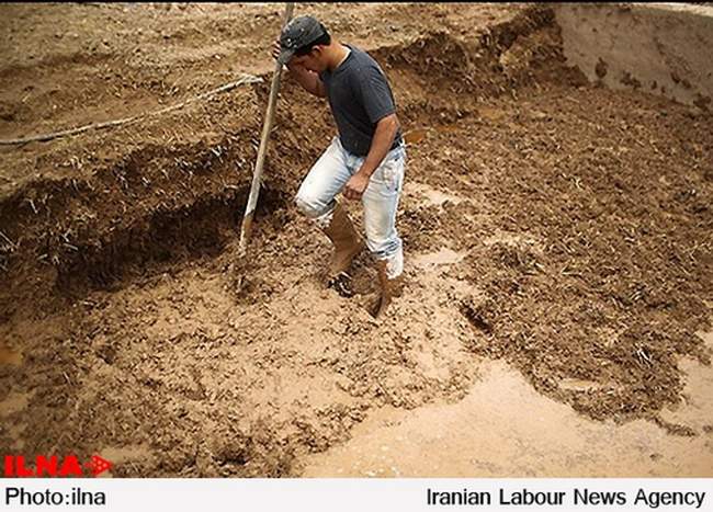 نمایشگاه عکس «سفید و سیاه»