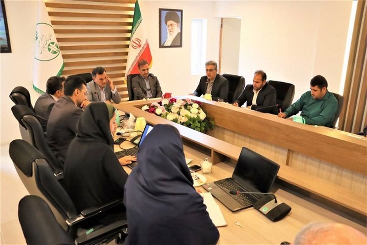 جلسه تدوین سند توسعه گردشگری تالاب شادگان برگزار شد