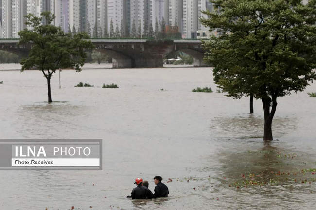 طوفان هینامنور در کره جنوبی 