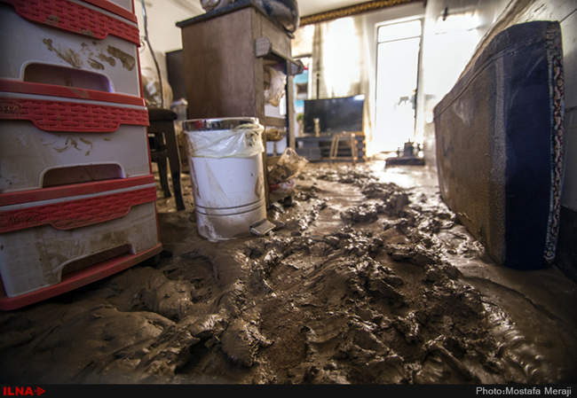 خانه به گل نشسته یک نوعروس؛ دستاورد دیگر شهرداری قم