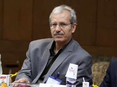 نصیرزاده: منتظر رای کمیته تعیین وضعیت در مورد داریوش شجاعیان و ملکی هستیم